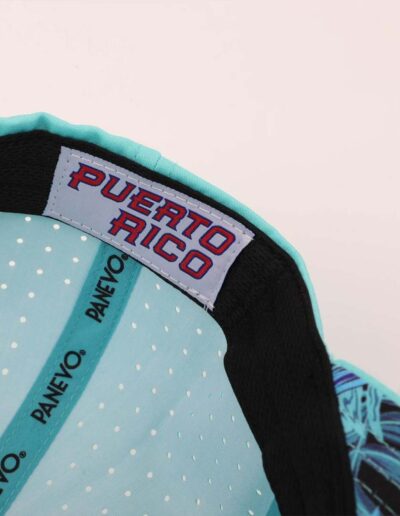 PR Dried Tech Cap